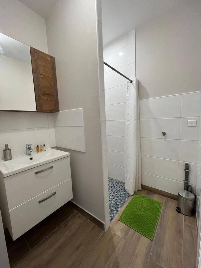Appartement Renove A 15 Min De Lyon Saint-Fons Екстер'єр фото